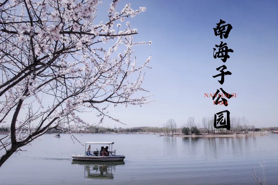 南海子游园 | 五一假期，，，，，，请收好这份攻略